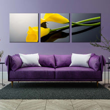 Load image into Gallery viewer, Isolated Lilies Canvas Print Calla Lily Floral Canvas Print Yellow Flowers 3 Piece Canvas Wall Art For Living Room
