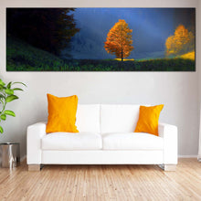Load image into Gallery viewer, Landscape  Scenery  Canvas  Wall  Art  Blue  Sky  Sun  Beam  Landscape  Canvas  Print  Golden  Trees  Majestic  Scenery  Living  Room  1  Piece  Canvas For Living Room
