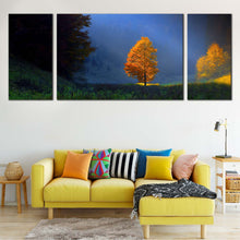 Load image into Gallery viewer, Landscape Scenery Canvas Wall Art Blue Sky Sun Beam Landscape Canvas Print Golden Trees Majestic Scenery  3 Piece Canvas For Living Room
