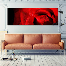 Load image into Gallery viewer, Large  size  close  up  red  rose  with  black  background  wall  decor For Living Room
