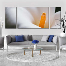 Load image into Gallery viewer, Lily Blossom Canvas Print Fresh Lily Flower 3 Piece Canvas Wall Art Yellow White Calla Floral Multi Canvas Artwork For Living Room

