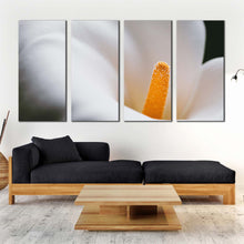 Load image into Gallery viewer, Lily Blossom Canvas Print Fresh Lily Flower 4 Piece Canvas Wall Art Yellow White Calla Floral Multi Canvas Artwork In Living room
