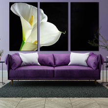 Load image into Gallery viewer, Lily Floral Canvas Wall Art Black Background Isolated Flower 3 Piece Canvas Print White Calla Lilies Canvas Set In Living Room
