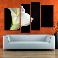 Load image into Gallery viewer, Lily Floral Canvas Wall Art Black Background Isolated Flower 4 Piece Canvas Print White Calla Lilies Canvas Set
