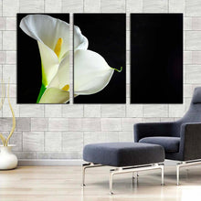 Load image into Gallery viewer, Lily Flower Canvas Wall Art White Lilies Isolated 3 Piece Multi Canvas Artwork Black Background Flower Canvas Print For Living Room
