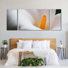 Load image into Gallery viewer, Lily Flower Canvas Wall Art Yellow Flower Head Multiple Canvas White Calla Lily Blossom 3 Piece Canvas Print For Bedroom
