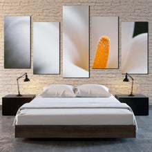 Load image into Gallery viewer, Lily Flower Canvas WallArt Yellow Flower Head Multiple Canvas White CallaLily Blossom 5 Piece Canvas Print For Your Bedroom
