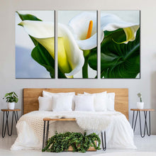 Load image into Gallery viewer, Lily Flowers Canvas Print White Arum Lily 3 Piece Canvas Wall Art Zantedeschia Aethiopica Green Leaves Floral Multi Canvas Artwork In Bedroom
