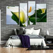 Load image into Gallery viewer, Lily Flowers Canvas Print White Arum Lily 4 Piece Canvas Wall Art Zantedeschia Aethiopica Green Leaves Floral Multi Canvas
