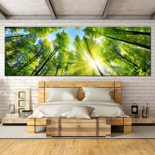 Load image into Gallery viewer, Looking  Up  Canvas  Print  Autumn  Forest  Bedroom  1  Piece  Canvas  Looking  Up  Green  Trees  Canvas  Wall  Art  Blue  Sky  Yellow  Sunrise  Canvas  Artwork For Bedroom
