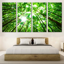 Load image into Gallery viewer, Looking Up Canvas Print Autumn Forest  4 Piece Canvas Looking Up Green Trees Canvas Wall Art White Sky Sunrise Canvas Artwork For Your Bedroom
