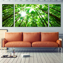 Load image into Gallery viewer, Looking  Up  Canvas  Print  Autumn  Forest  Living  Room  3  Piece  Canvas  Looking  Up  Green  Trees  Canvas  Wall  Art  White  Sky  Sunrise  Canvas  Artwork For Living Room
