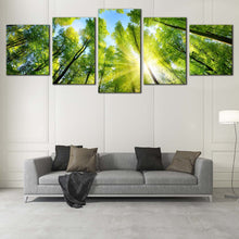 Load image into Gallery viewer, Looking Up Canvas Print Autumn Forest  4 Piece Canvas Looking Up Green Trees Canvas Wall Art Blue Sky Yellow Sunrise Canvas Artwork For Your Living room
