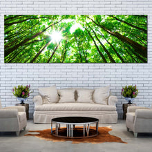 Load image into Gallery viewer, Looking  Up  Canvas  Print  Autumn  Forest  Living  Room  Panoramic  Canvas  Looking  Up  Green  Trees  Canvas  Wall  Art  White  Sky  Sunrise  Canvas  Artwork For Living Room
