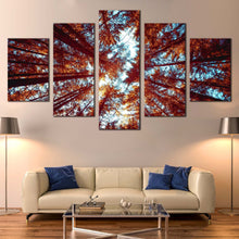 Load image into Gallery viewer, Looking  Up  Canvas  Print  Orange  Autumn  Forest  5  Piece  Canvas  Looking  Up  Through  Forest  Canvas  Wall  Art  Blue  Sky  Sunrise  Living  Room  Canvas  Artwork In Living room
