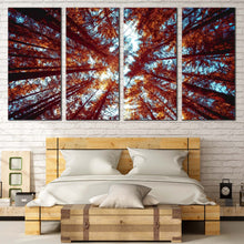 Load image into Gallery viewer, Looking Up Canvas Print Orange Autumn Forest  4 Piece Canvas Looking Up Through Forest Canvas Wall Art Blue Sky Sunrise Canvas Artwork For Your Bedroom
