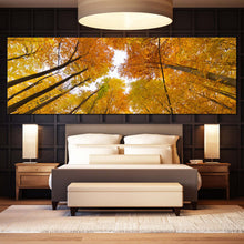 Load image into Gallery viewer, Looking  Up  Canvas  Print  Orange  Yellow  Trees  Autumn  Forest  1  Piece  Wide  Canvas  Looking  Up  Through  Forest  Canvas  Wall  Art For Bedroom
