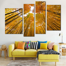 Load image into Gallery viewer, Looking Up Canvas Print Orange Yellow Trees Autumn Forest 4 Piece Muli Panel Canvas Looking Up Through Forest Canvas Wall Art 
