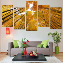 Load image into Gallery viewer, Looking Up Canvas Print Orange Yellow Trees Autumn Forest 5 Piece Muli Panel Canvas Looking Up Through Forest Canvas Wall Art 
