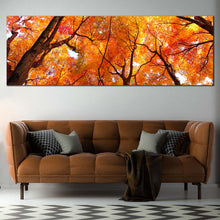 Load image into Gallery viewer, Looking  Up  Canvas  Wall  Art  Brown  Trees  Branches  Canvas  Artwork  Looking  Up  Orange  Trees 1  Piece  Canvas  Print In Living Room
