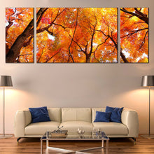 Load image into Gallery viewer, Looking Up Canvas Wall Art Brown Trees Branches Canvas Artwork Looking Up Orange Trees Forest  3 Piece Canvas Print In Living Room
