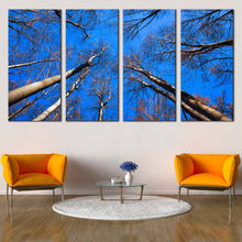 Load image into Gallery viewer, Looking Up Canvas Wall Art Trees Autumn at Blue Sky  4 Piece Canvas Looking Up Brown Trees Branches Canvas Print In Living room
