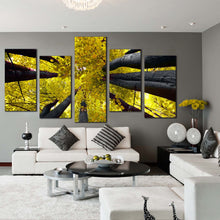 Load image into Gallery viewer, Looking Up Into a Stand of Trees in Autumn 5 panel canvas print For Your Living Room
