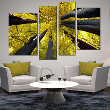 Load image into Gallery viewer, Looking Up Into a Stand of Trees in Autumn trees 4 piece wall decor 
