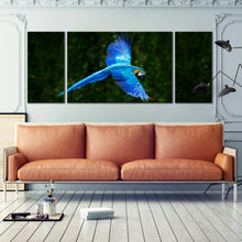 Load image into Gallery viewer, Macaw Blue Parrot Flying Free In The Jungle triptych Canvas print In Living Room

