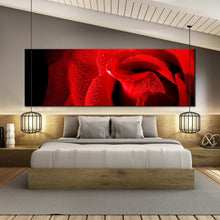 Load image into Gallery viewer, Panoramic  portrait  of  red  rose  with  water  droplets  wall  decor In Bedroom
