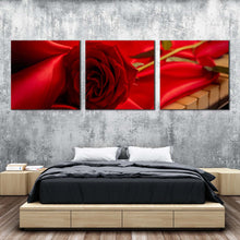 Load image into Gallery viewer, Rose Floral Canvas Print Flower with Red Cloth 3 Piece Canvas Wall Art Beautiful Rose Piano Canvas Print For Bedroom
