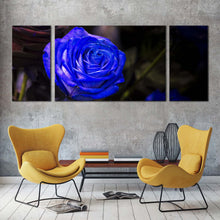 Load image into Gallery viewer, Rose Floral Canvas Wall Art Isolated Rose Dark Background 3 Piece Multiple Canvas Blue Flowers Digital Painting Canvas Print In Living Room
