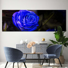 Load image into Gallery viewer, Rose Flower Canvas Wall Art. Isolated Blue Rose 1 Piece Canvas. Beautiful Floral Canvas Print For Living Room
