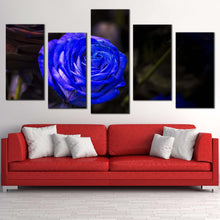 Load image into Gallery viewer, Rose Flower Canvas WallArt.Isolated Blue Rose 5 Piece Canvas Set Beautiful Floral Canvas Print For Your Living Room
