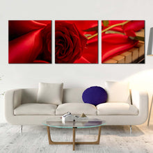 Load image into Gallery viewer, Rose Flower Canvas Wall Art Red Rose on Instrument 3 Piece Canvas Print Beautiful Floral Multi Canvas Artwork In Living Room
