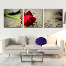 Load image into Gallery viewer, Rose Flower Canvas Wall Art Rose Brown Blurred Background 3 Piece Canvas Set Red Rose Romance Canvas Print In Living Room
