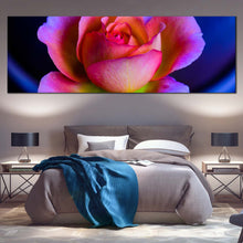Load image into Gallery viewer, Beautiful  Rose  Canvas  Print  Purple  Pink  Rose  Flower  Wide  Canvas  Blue  Background  Floral  Living  Room  1  Piece  Canvas  Wall  Art For Bedroom

