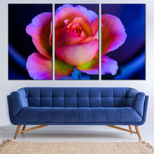 Load image into Gallery viewer, Rose Flower Canvas Wall Art Blue Background Floral Multi Canvas Artwork Beautiful Pink Purple Rose  3 Piece Canvas Print In Living room
