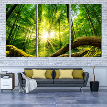 Load image into Gallery viewer, Scenery Forest Canvas Wall Art Green Forest  Multi Canvas Tranquil Scenery Yellow Sun Casting Forest 3 Piece Canvas Print In Living Room
