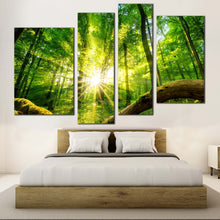 Load image into Gallery viewer, Scenery Forest Canvas Wall Art Green Forest Multi Canvas Tranquil Scenery Yellow Sun Casting Forest  4 Piece Canvas Print 
