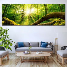 Load image into Gallery viewer, Scenery  Forest  Canvas  Wall  Art  Green  Forest  Multi  Canvas  Tranquil  Scenery  Yellow  Sun  Casting  Forest 1  Piece  Canvas  Print For Living Room
