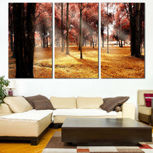 Load image into Gallery viewer, Scenic Forest Canvas Wall Art Beautiful Red Autumn Trees Forest  3 Piece Canvas Set Yellow Fields Sun Rays Scenery Canvas Print For Living Room
