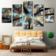 Load image into Gallery viewer, 5pA_blue
