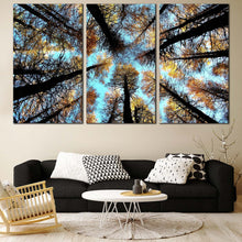 Load image into Gallery viewer, Scotland Autumn Canvas Print Looking Up Grove of Trees Canvas Set Looking Up Blue Sky Canvas Wall Art For Living Room
