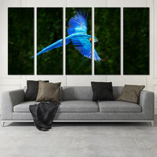 Load image into Gallery viewer, South America Wildlife Blue Macaw Parrot Flying 5 Panel Canvas print In Living Room
