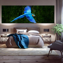 Load image into Gallery viewer, South  America  Wildlife  Blue  Macaw  Parrot  Flying  Panoramic  Canvas  Print In Bedroom
