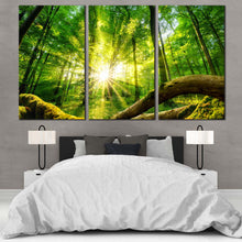 Load image into Gallery viewer, Tranquil Scenery Canvas Print Yellow Sun Casting Forest 3 Piece Canvas Wall Art Green Forest  Canvas Artwork For Bedroom
