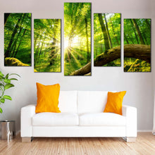 Load image into Gallery viewer, Tranquil Scenery Canvas Print Yellow Sun Casting Forest 5 Piece Canvas Wall Art Green Forest  Canvas Artwork In Living Room
