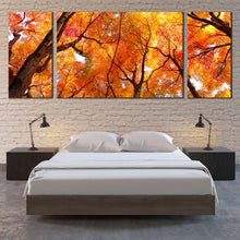 Load image into Gallery viewer, Tree Branches Canvas Print Looking Up Yellow Orange Trees  3 Piece Canvas Wall Art Looking Up Forest Sky Multi Canvas Artwork For Bedroom
