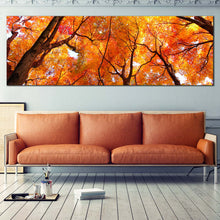 Load image into Gallery viewer, Tree  Branches  Canvas  Print  Looking  Up  Yellow  Orange  Trees 1  Piece  Canvas  Wall  Art  Looking  Up  Forest  Sky  Wide  Canvas For Your Living Room
